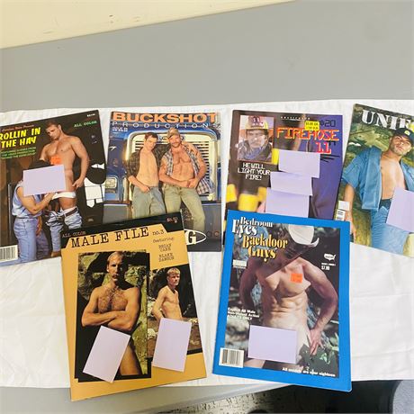 6 Gay Interest Magazines