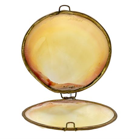 Handmade Real Clamshell Vintage Compact