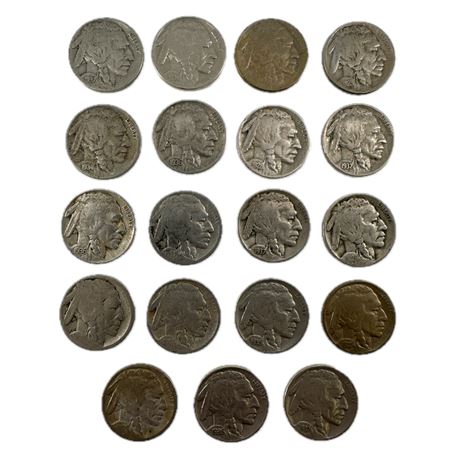 Lot of 19 Buffalo Nickels Assorted Dates