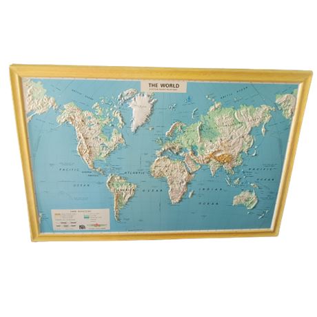 The World NYSTROM Raised Relief Map (Plastic)