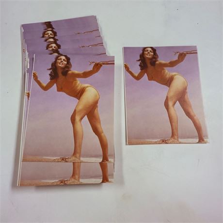 50 Vintage Exhibit Cards