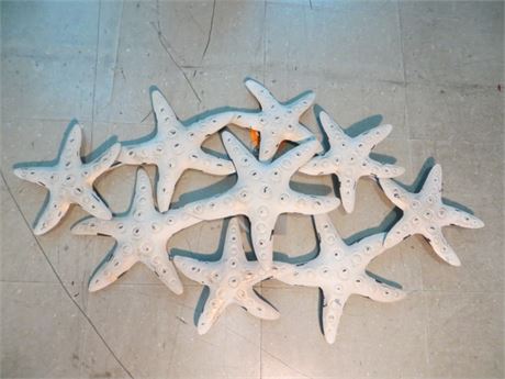 Star Fish Wall Collage