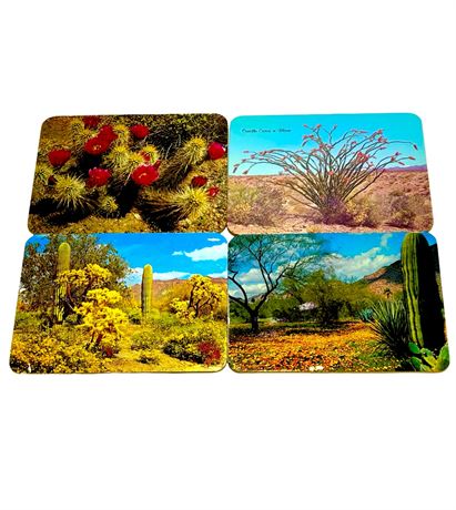 Vtg "Hot Plaque" Cork Backed Decorative Table Hot Pads - 4 Desertscapes