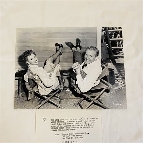Hitchcock After Nightfall Original Press Photo