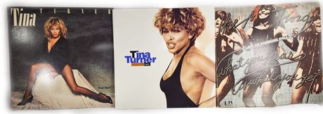 Lot of Tina Turner Record Albums
