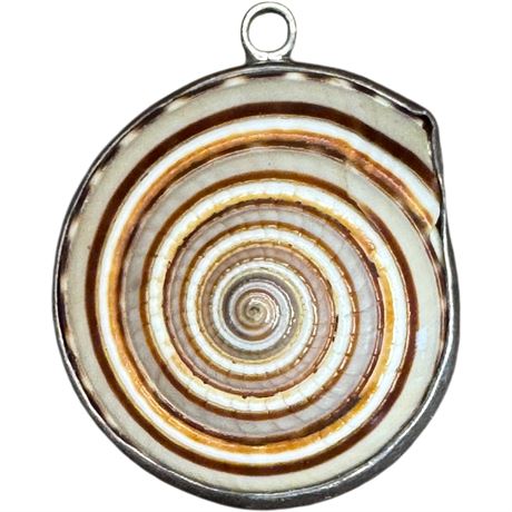 Sundial Seashell Pendant in Sterling Silver