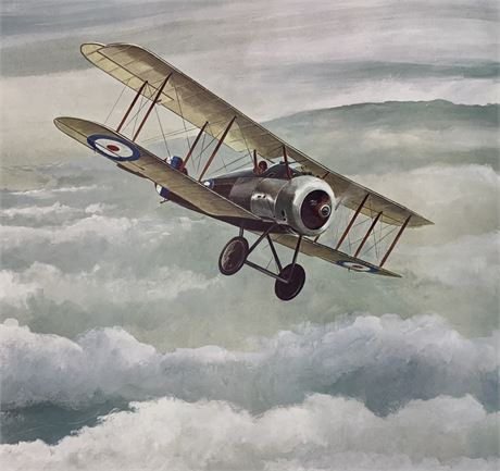 Large 19” RCF RAF Aviation Military Service Aircraft Art Book