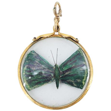 Vintage Gold Filled Abalone Shell Butterfly Pendant