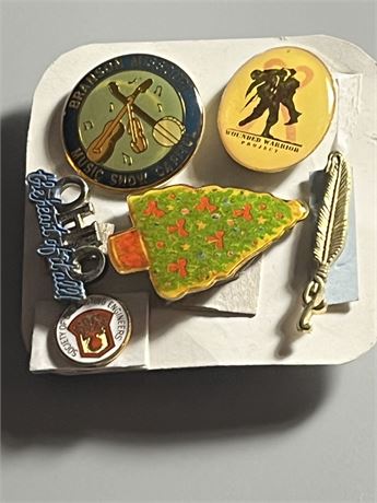 Multiple organizations lapel pins