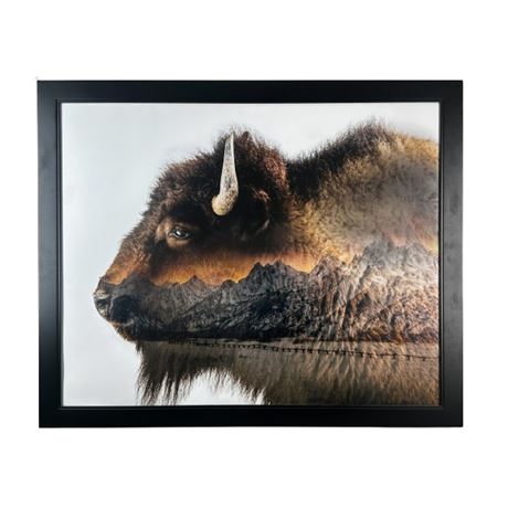Grand Teton National Park Bison Art Print