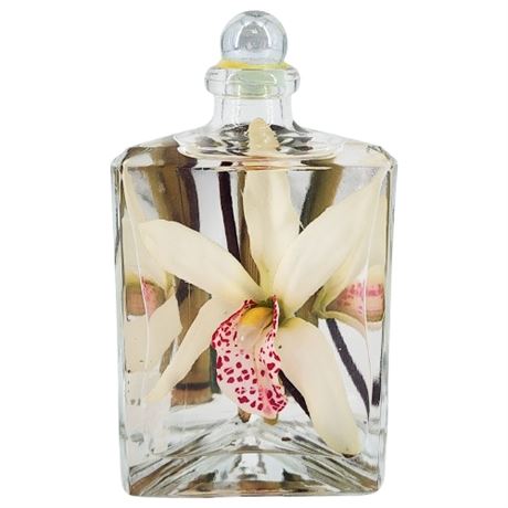 Switzerland Old World Gifts Lifetime Candle Reed Diffuser (No Reeds)
