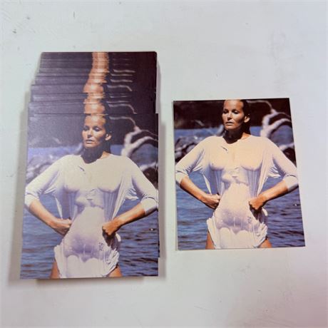 50 Vintage Exhibit Cards