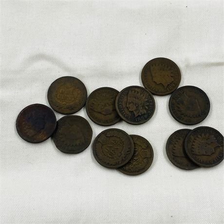 11 Unsearched Indian Head Pennies