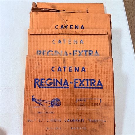 100 Feet NOS Regina Chain