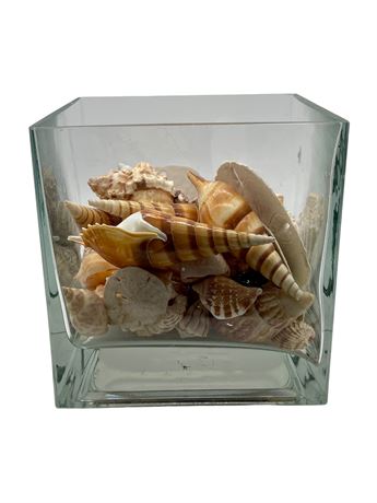 Crystal Vase Filled with Seashells
