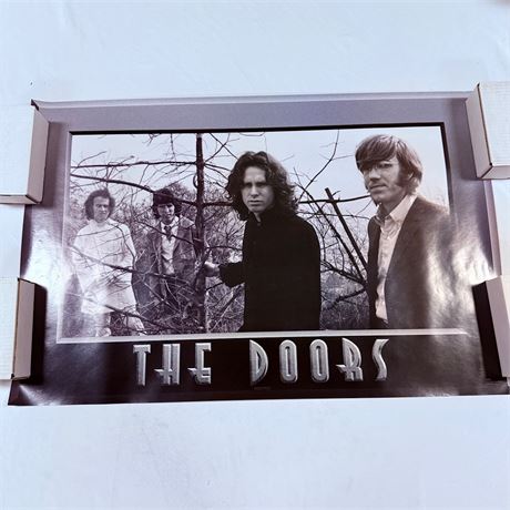 The Doors Poster