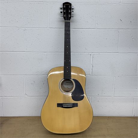 Fender Starcaster Guitar