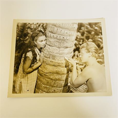 Original Press Photograph