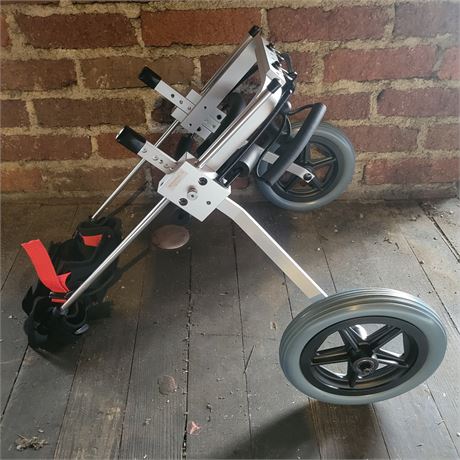 Best Friend Mobility Rear Support Wheelchair