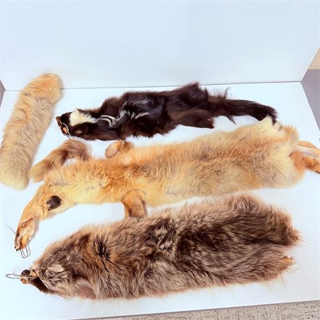 Lot of Real Pelts