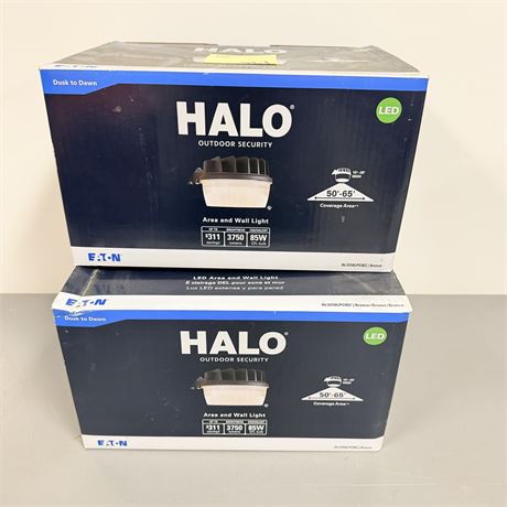 Halo Outdoor Security Lot
