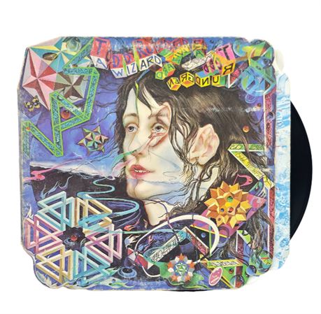 1973 Todd Rundgren "A Wizard A True Star"