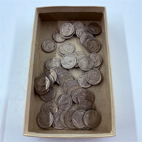 50 Unsearched Buffalo Nickels