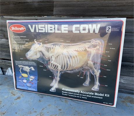 NOS Visible Cow Anatomically Correct Model Kit