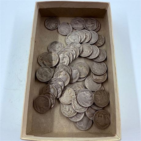 50 Unsearched Buffalo Nickels