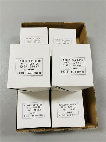8 NOS Harley Davidson 1200cc Pistons