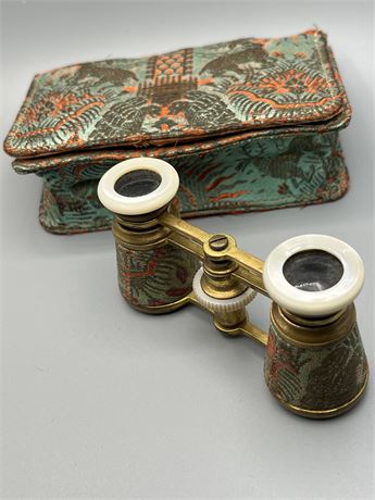 Upper glasses with mother of pearl cloth covered with case