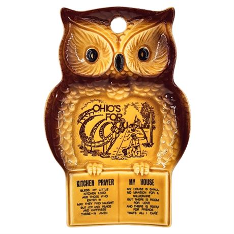 Vintage "Ohio's For You" Ceramic Owl Spoon Rest