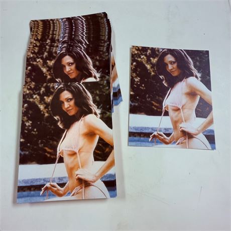 50 Vintage Exhibit Cards