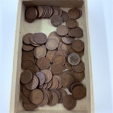100 Unsearched Indian Head Pennies