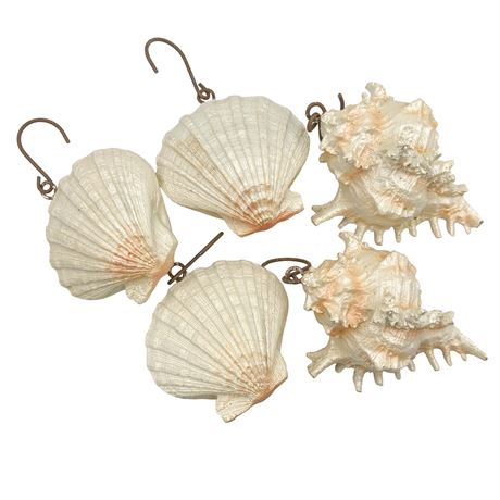 Set of 5 Painted Plaster Shells with Metal Hooks for Hanging