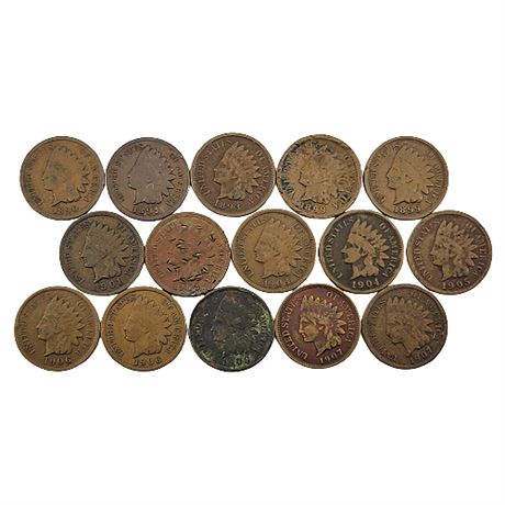 Lot of 15 United States Indian Head Pennies