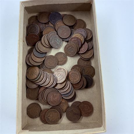 100 Unsearched Indian Head Pennies