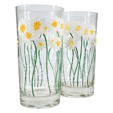 Vintage Daisies Cooler Glasses, Set of 2