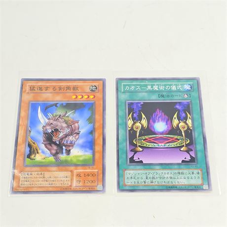 Japanese Yu-Gi-Oh! Hologram Cards