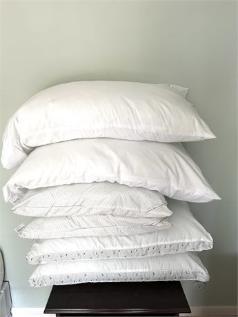 6 Bed pillows