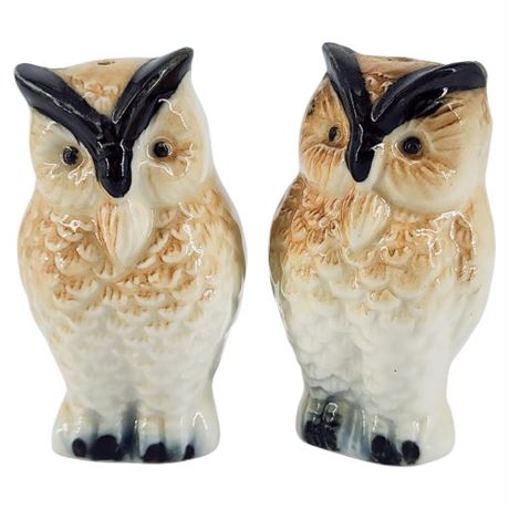 Vintage Ceramic Owls Salt & Pepper Shaker Set