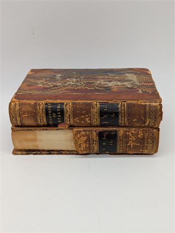 1847 Philosophy of Health Vol. 1&2 London
