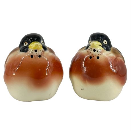 Hand-Painted Vintage Ceramic Robin Salt & Pepper Shakers