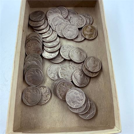 50 Unsearched Buffalo Nickels
