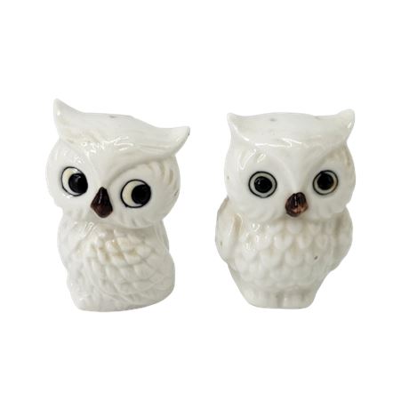 Vintage White Ceramic Owl Salt & Pepper Shakers