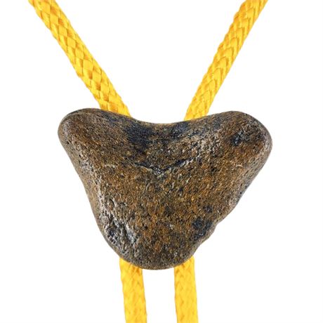 Vintage Shark Tooth Bolo Tie
