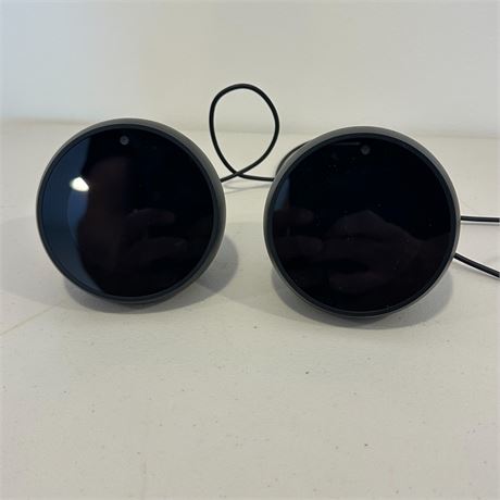 Pair of Amazon Camera/ Speakers