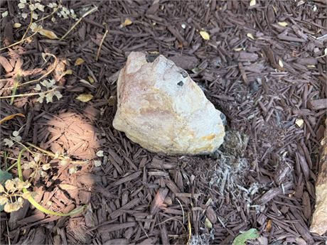 2 Decorative Rocks