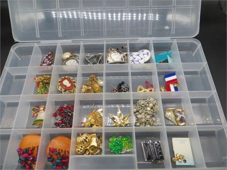 Pins & Earrings (Case Not Included)