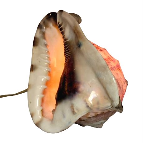 Large Vintage Lighted Conch Shell